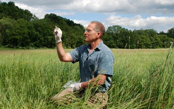 Rick Ostfeld holds a white-footed mouse in a Lyme disease hotspot: N.Y.'s Hudson Valley.
